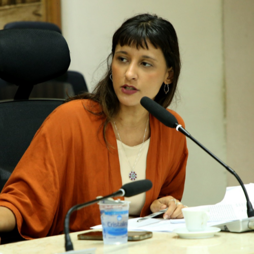 Fiscal da prefeitura confirma ausência de símbolos partidários em evento citado contra Brisa Bracchi