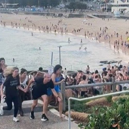 Suspeitos de atentado terrorista na Austrália são pai e filho, diz polícia. Ataque a celebração em praia de Sydney deixou 15 vítimas. Polícia afirma que um dos suspeitos tinha licença para seis armas, que foram recuperadas.