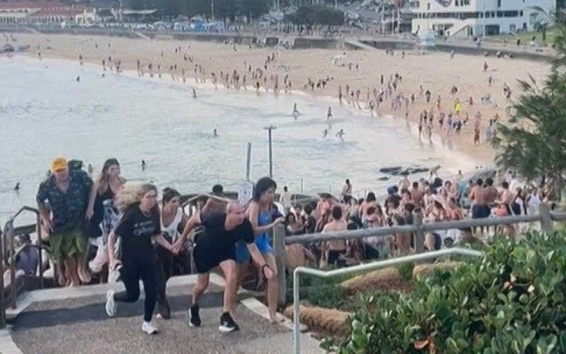 Suspeitos de atentado terrorista na Austrália são pai e filho, diz polícia. Ataque a celebração em praia de Sydney deixou 15 vítimas. Polícia afirma que um dos suspeitos tinha licença para seis armas, que foram recuperadas.